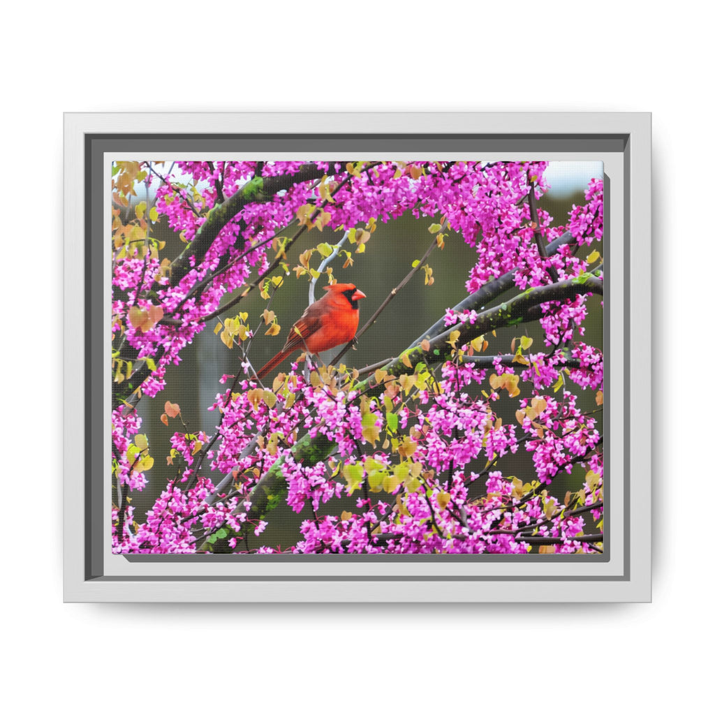 Northern Cardinal Matte Canvas, Framed (Multi-color)