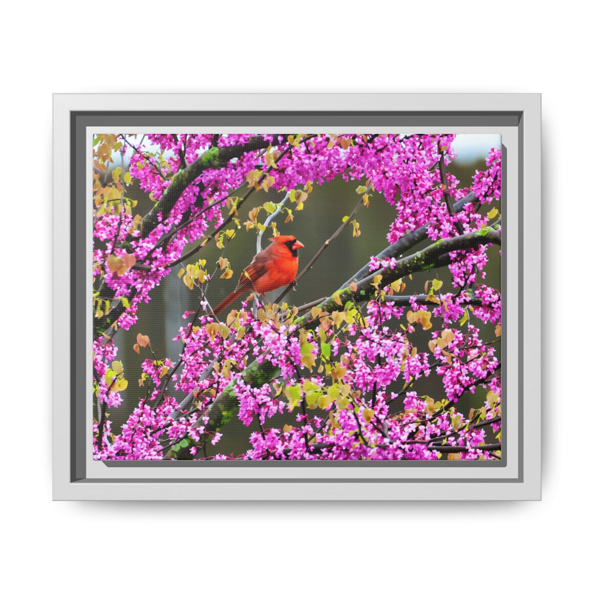Northern Cardinal Matte Canvas, Framed (Multi-color)