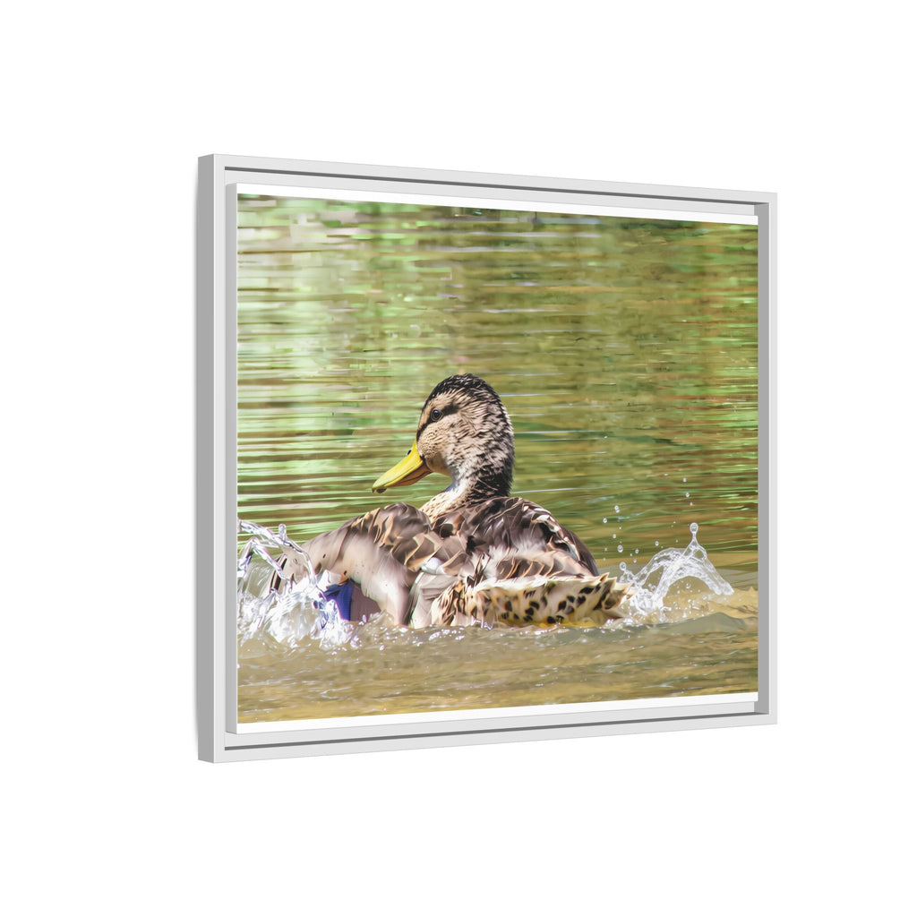 Mallard Duck Matte Canvas, Framed (Multi-color)