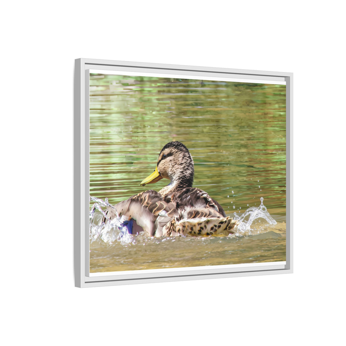 Mallard Duck Matte Canvas, Framed (Multi-color)