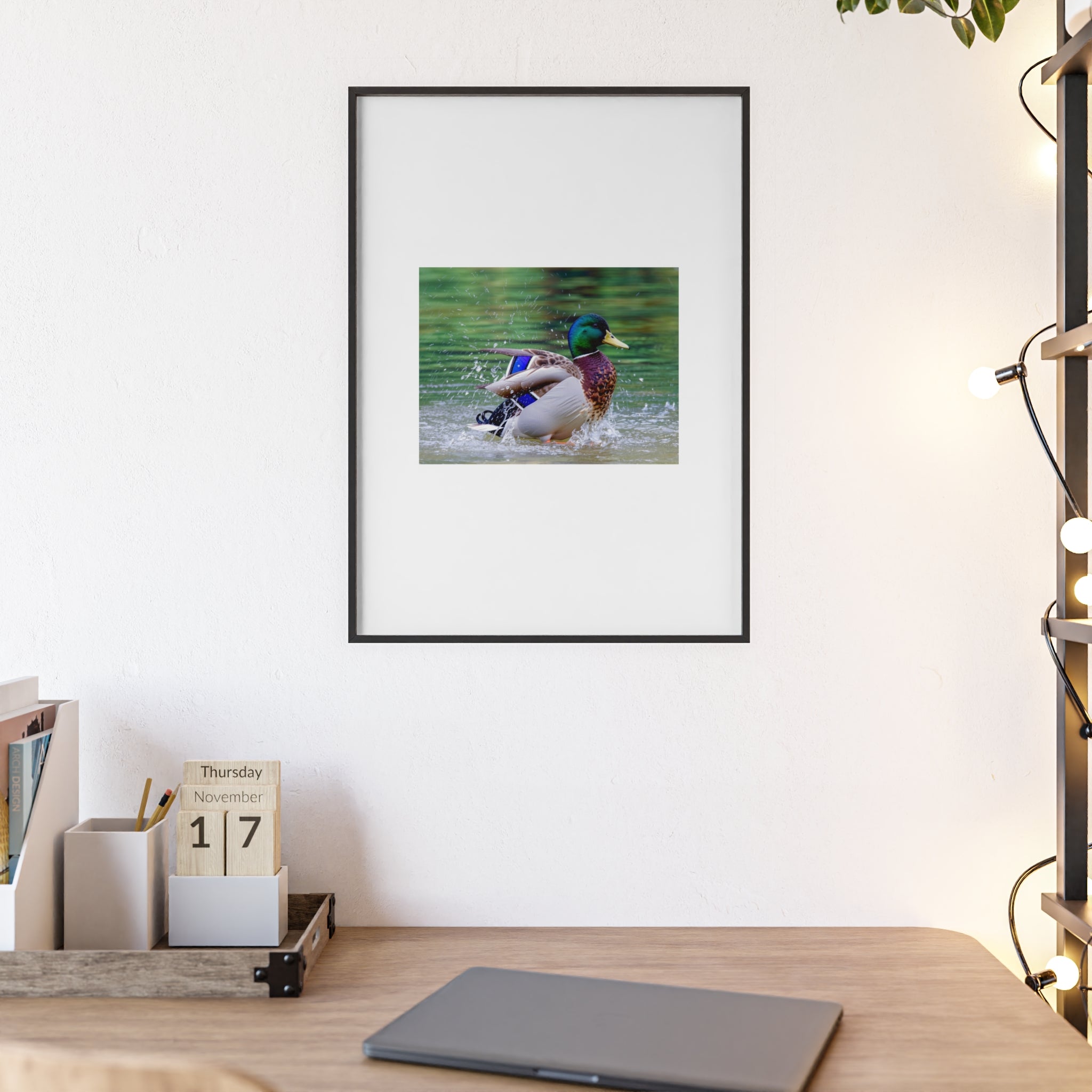 Mallard Duck Posters with Wooden Frame