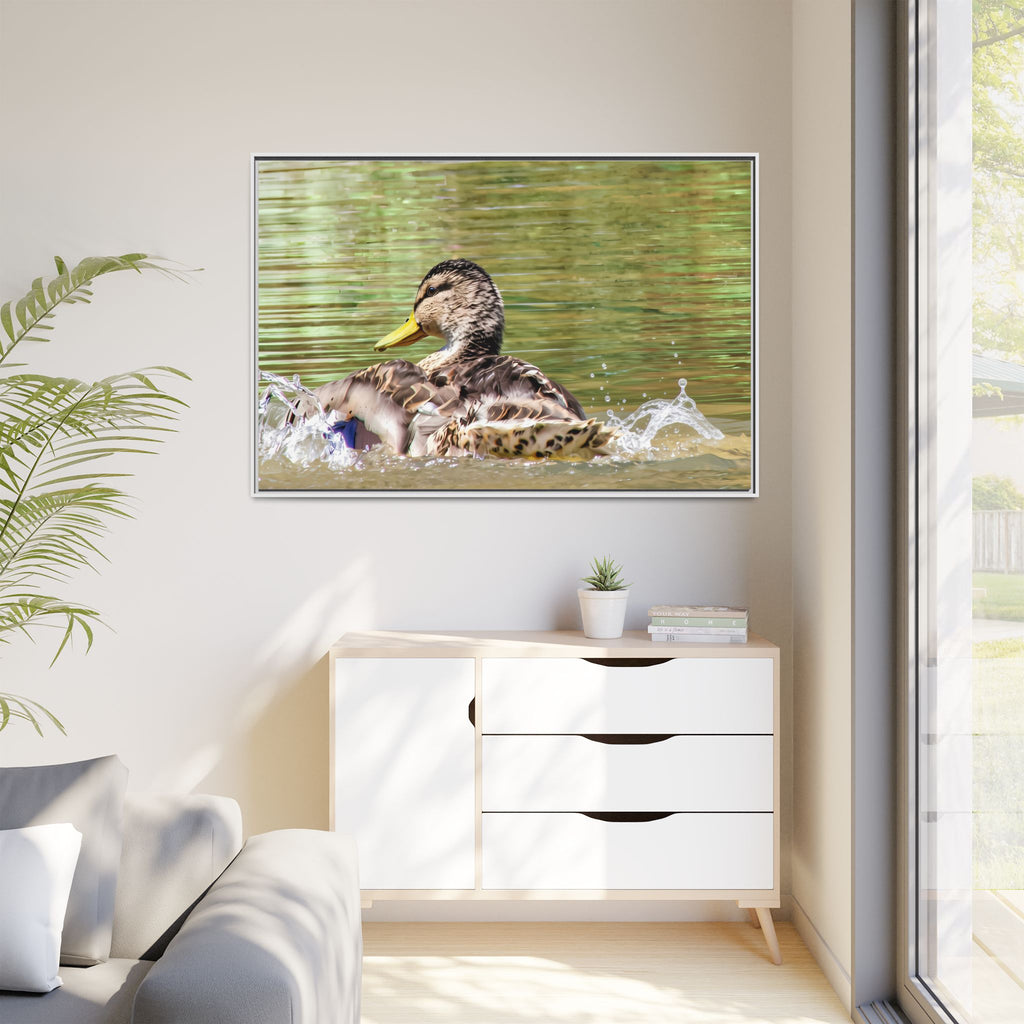 Mallard Duck Matte Canvas, Framed (Multi-color)