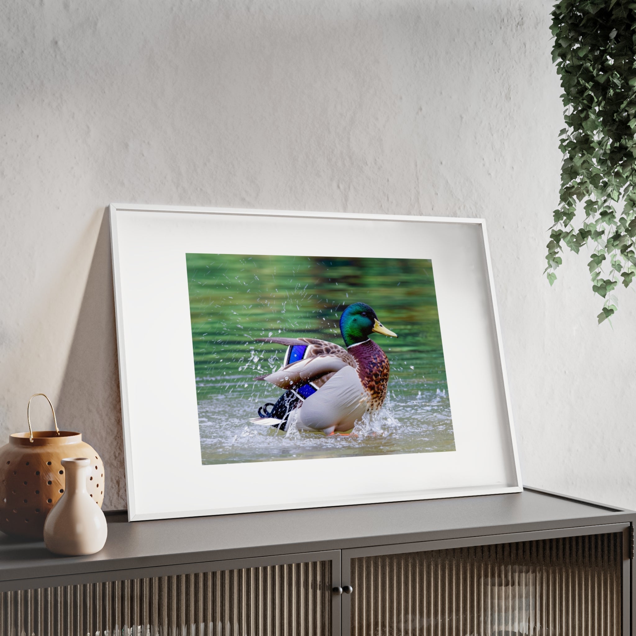 Mallard Duck Posters with Wooden Frame