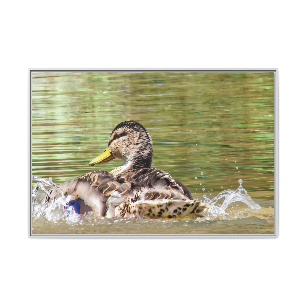 Mallard Duck Matte Canvas, Framed (Multi-color)