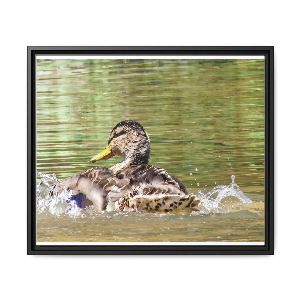 Mallard Duck Matte Canvas, Framed (Multi-color)