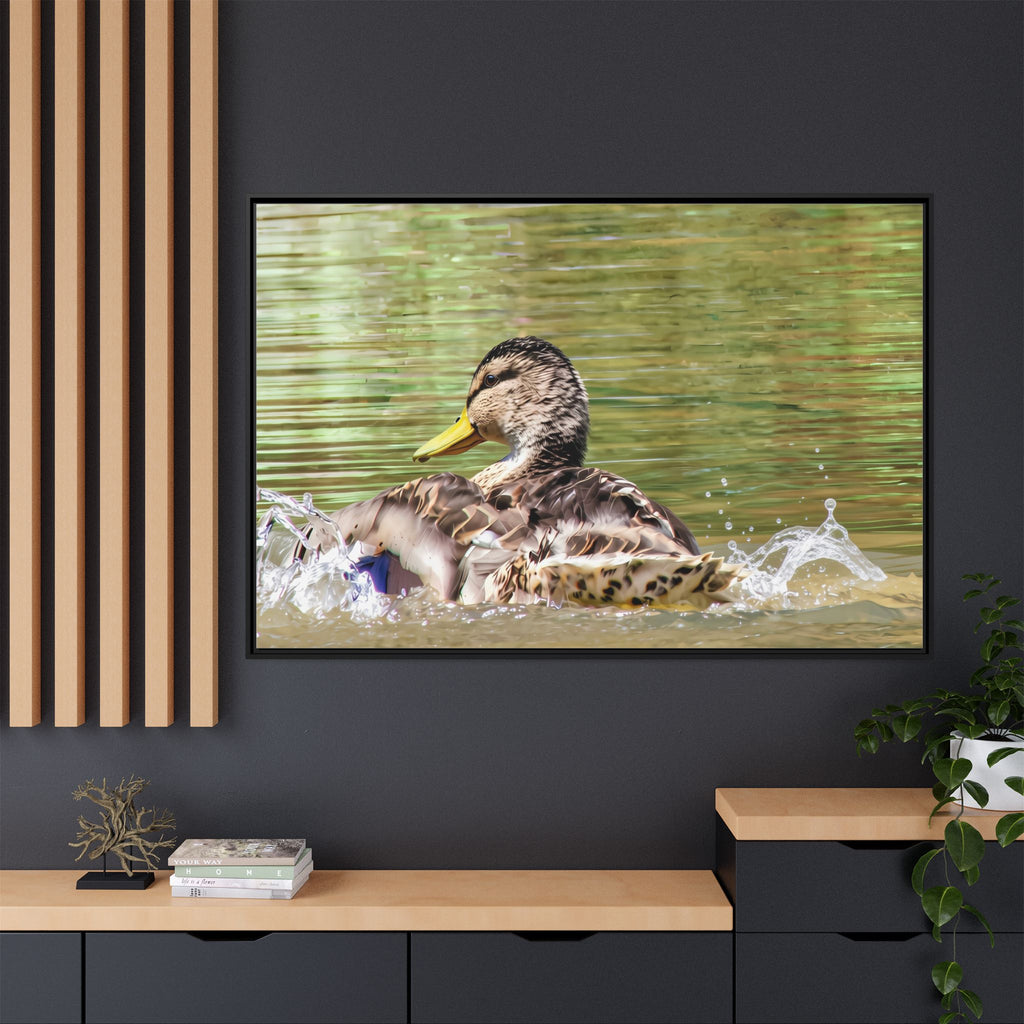 Mallard Duck Matte Canvas, Framed (Multi-color)