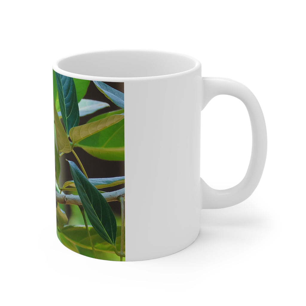 Oriole Bird Mug 11oz