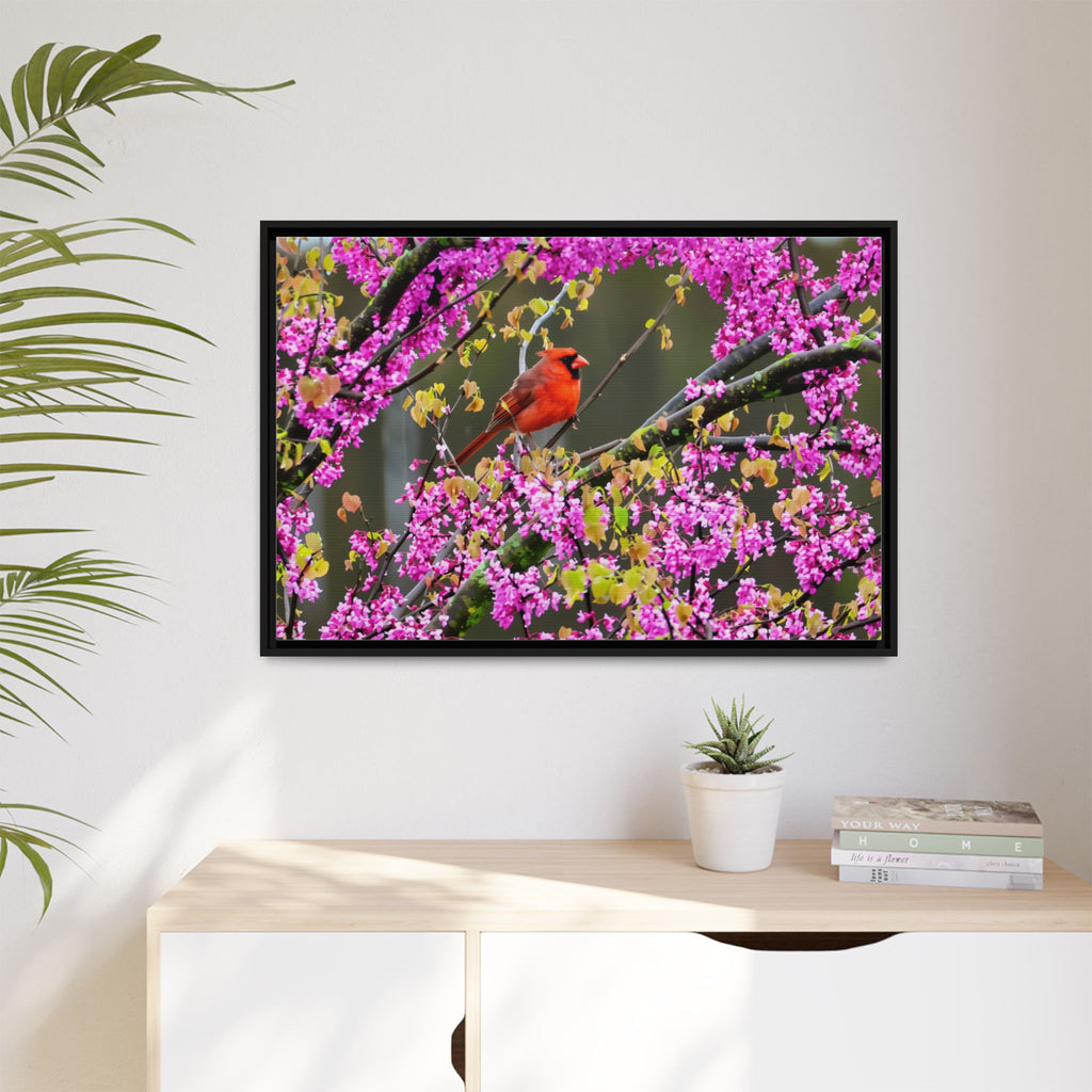 Northern Cardinal Matte Canvas, Framed (Multi-color)