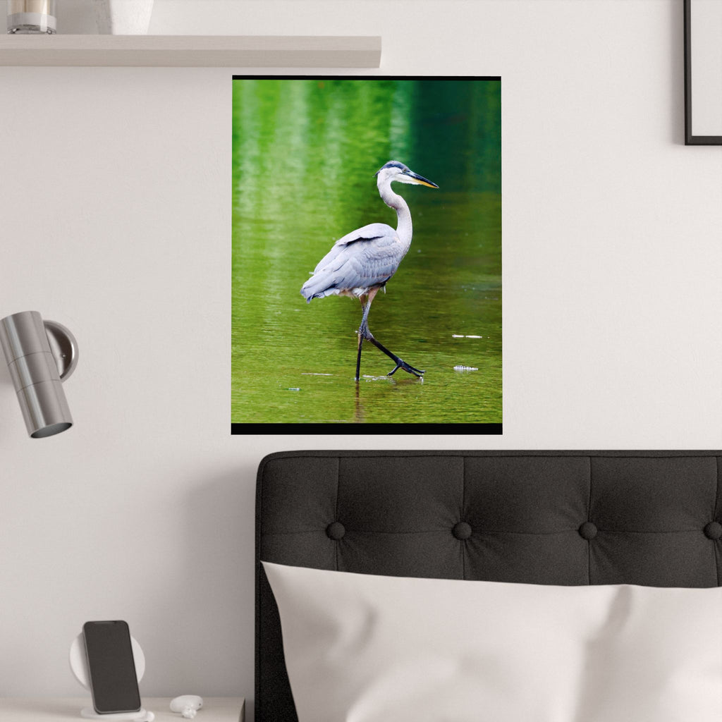 Great Blue Heron Satin Posters (210gsm)
