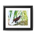 Montezuma Oropendola Matte Canvas, Framed (Multi-color)
