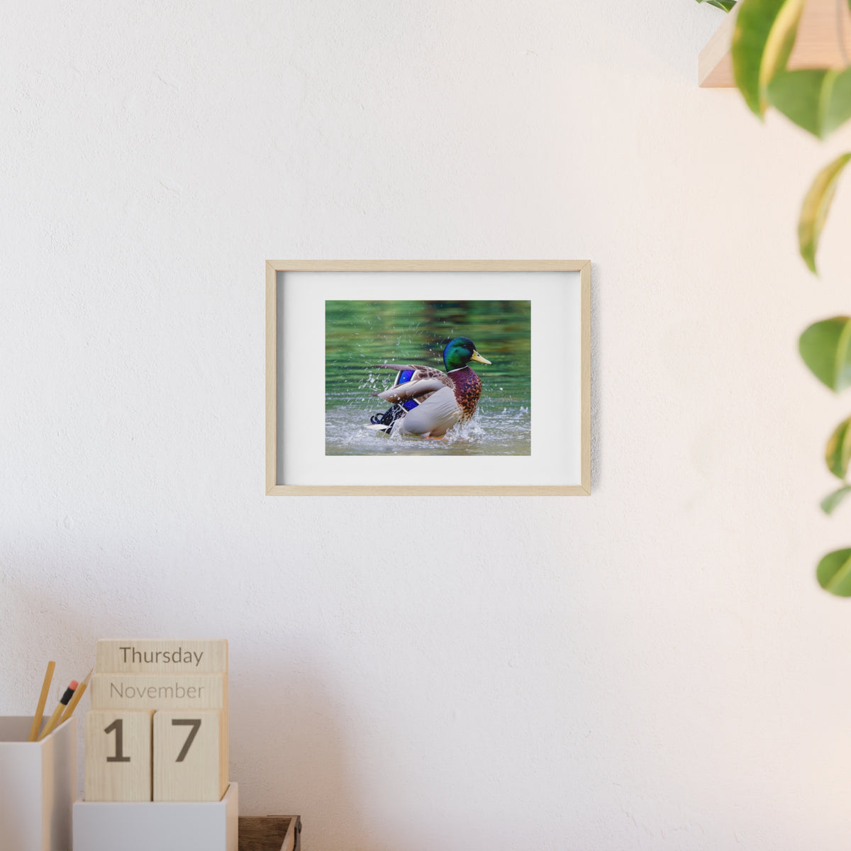 Mallard Duck Posters with Wooden Frame