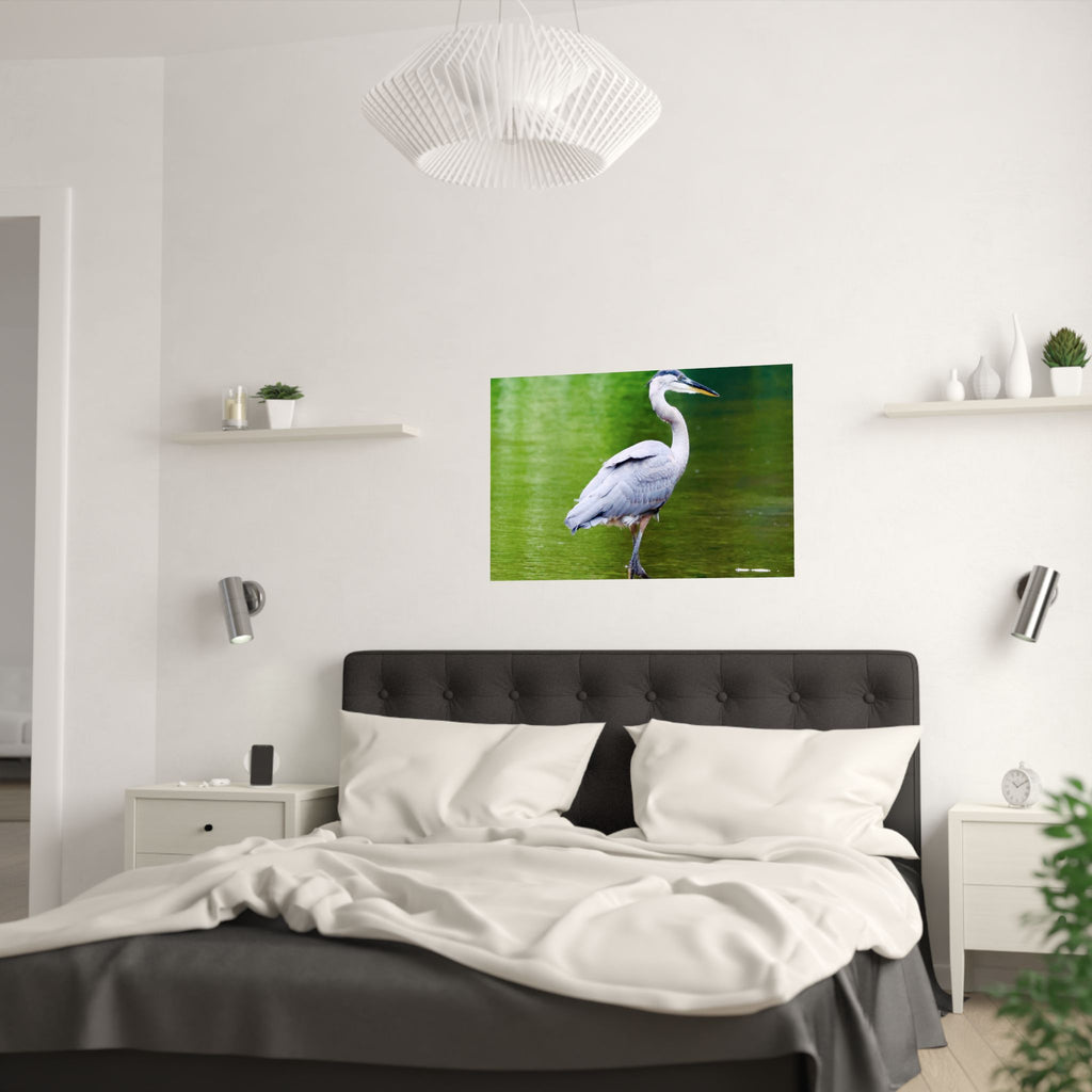 Great Blue Heron Satin Posters (210gsm)