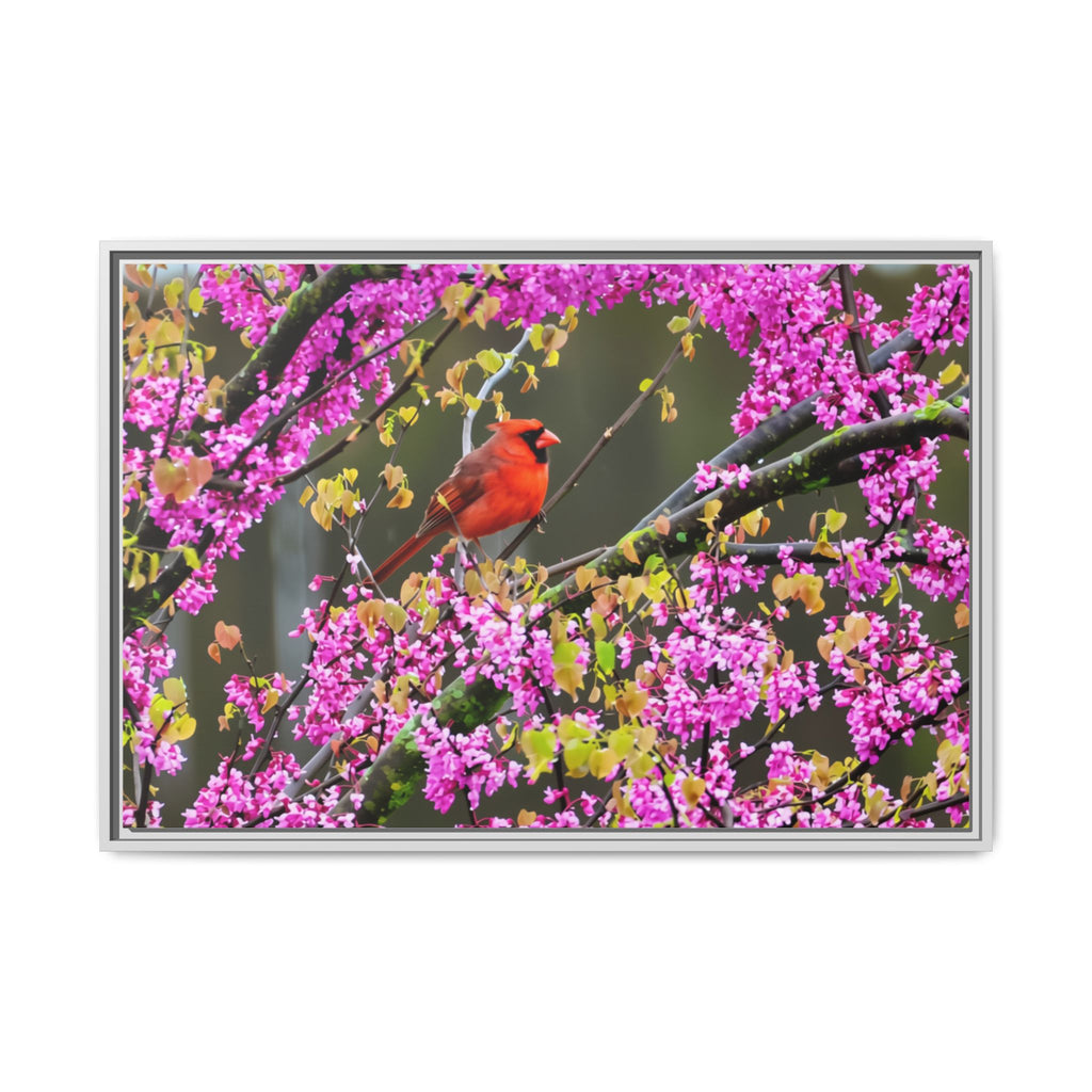 Northern Cardinal Matte Canvas, Framed (Multi-color)