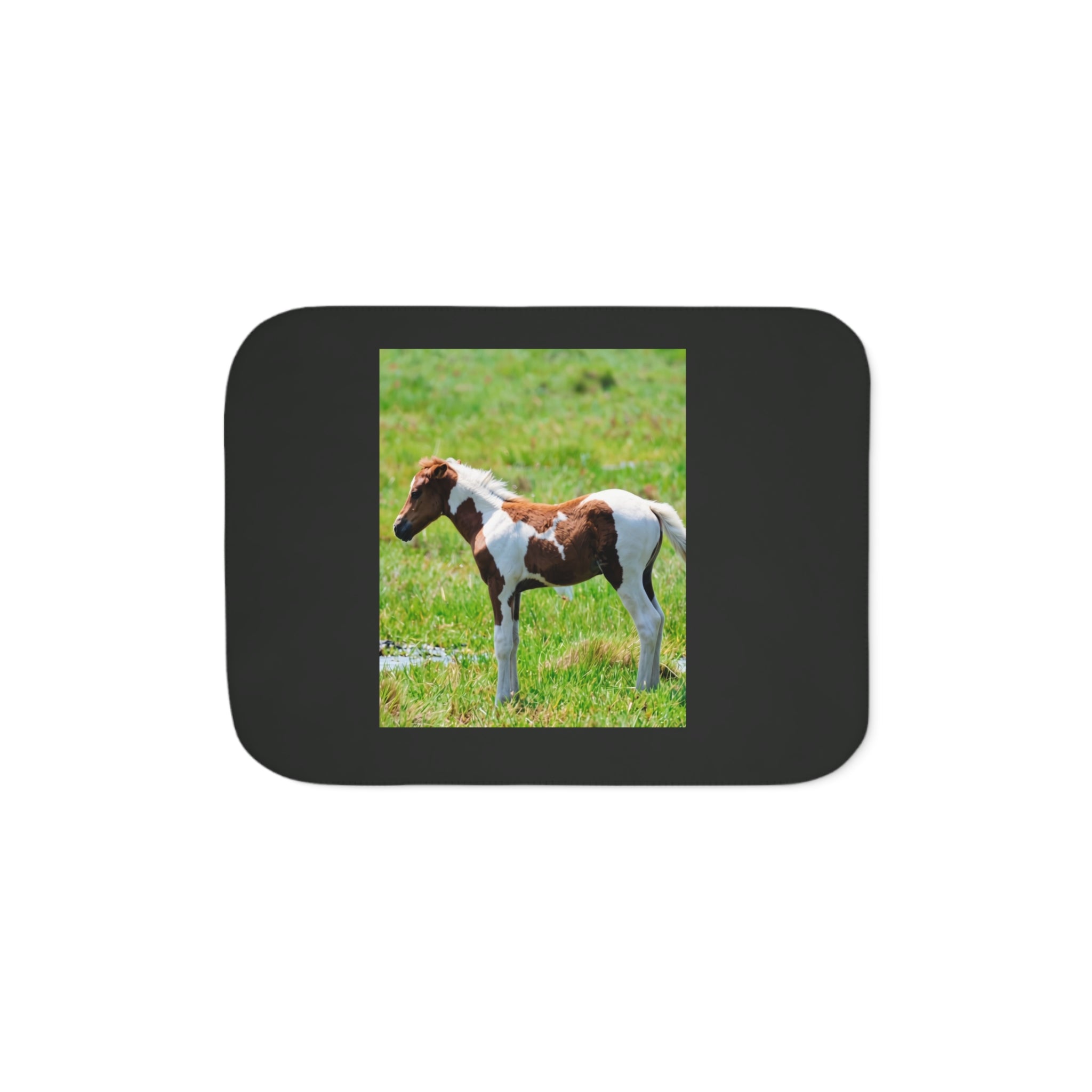 Pony Sherpa Blanket