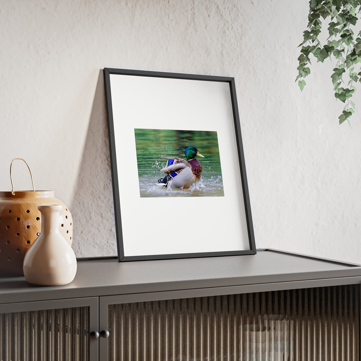 Mallard Duck Posters with Wooden Frame