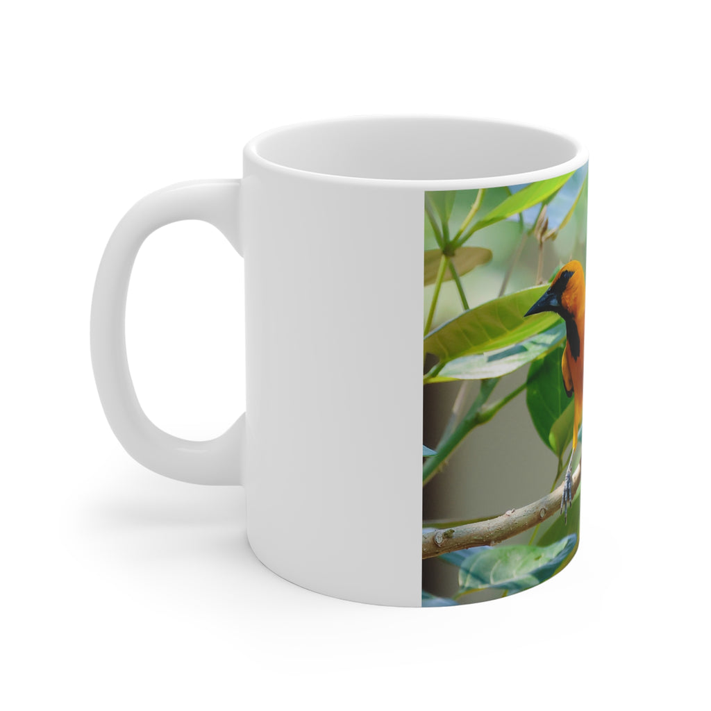 Oriole Bird Mug 11oz