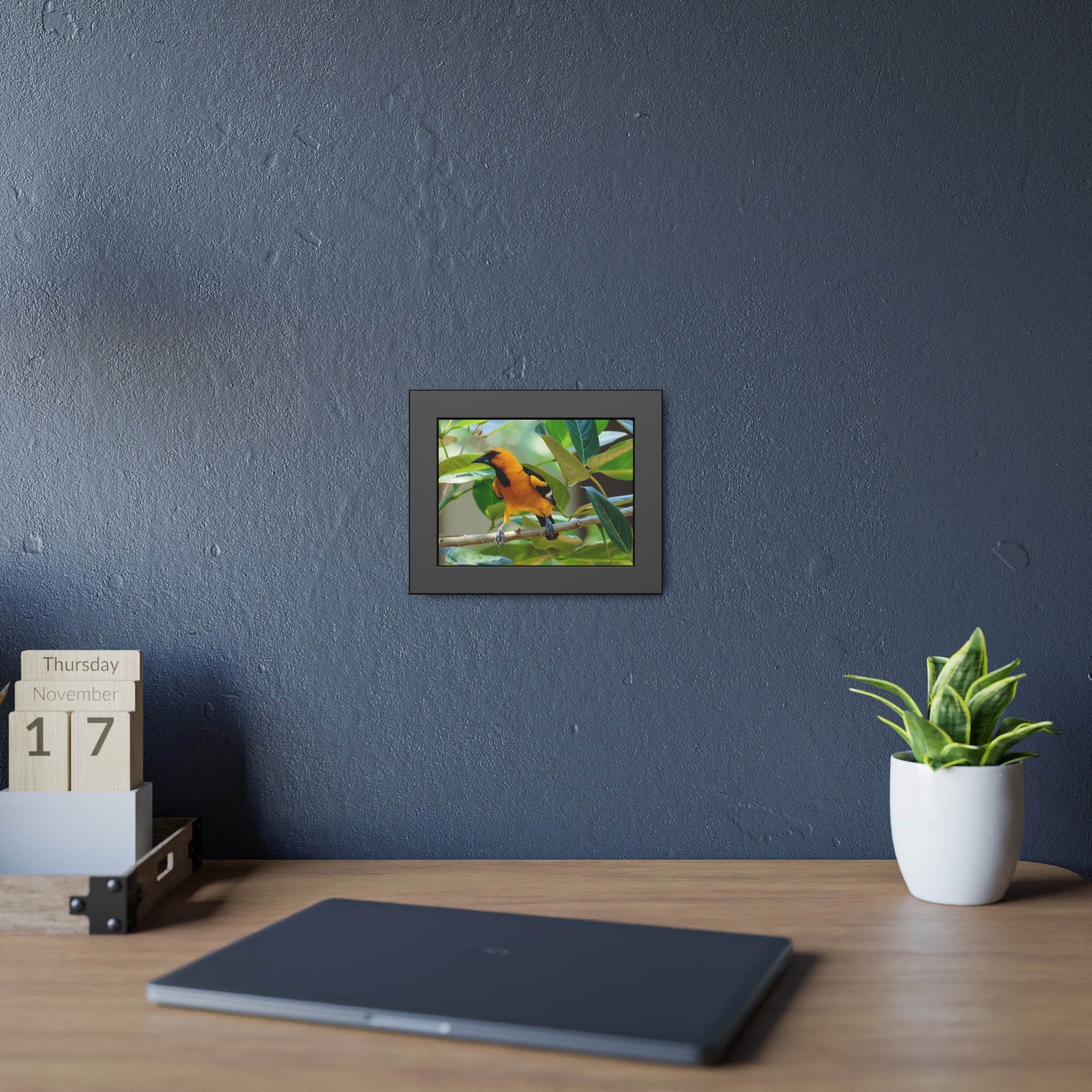 Framed Paper Posters
