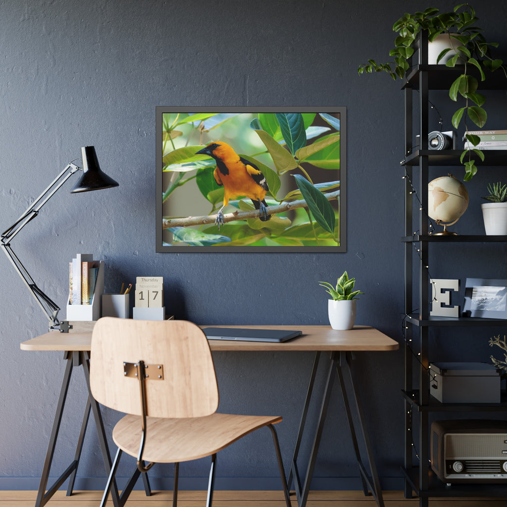 Framed Paper Posters