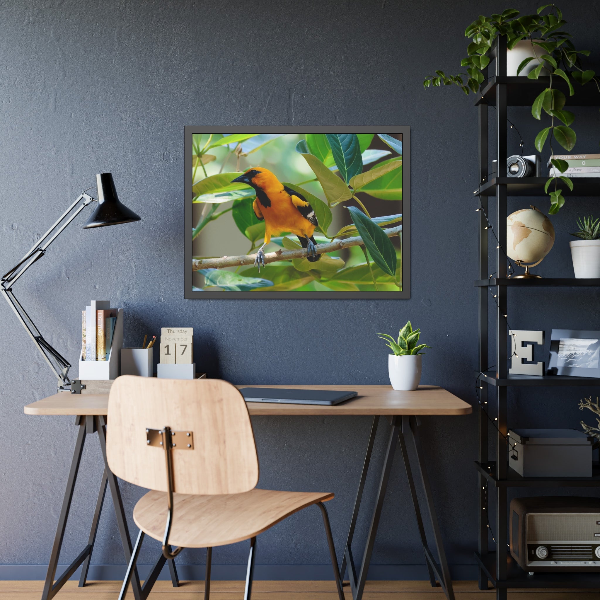 Framed Paper Posters