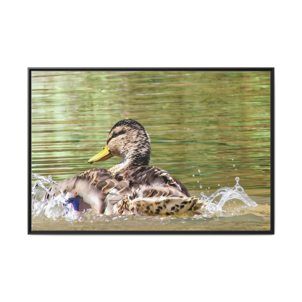 Mallard Duck Matte Canvas, Framed (Multi-color)