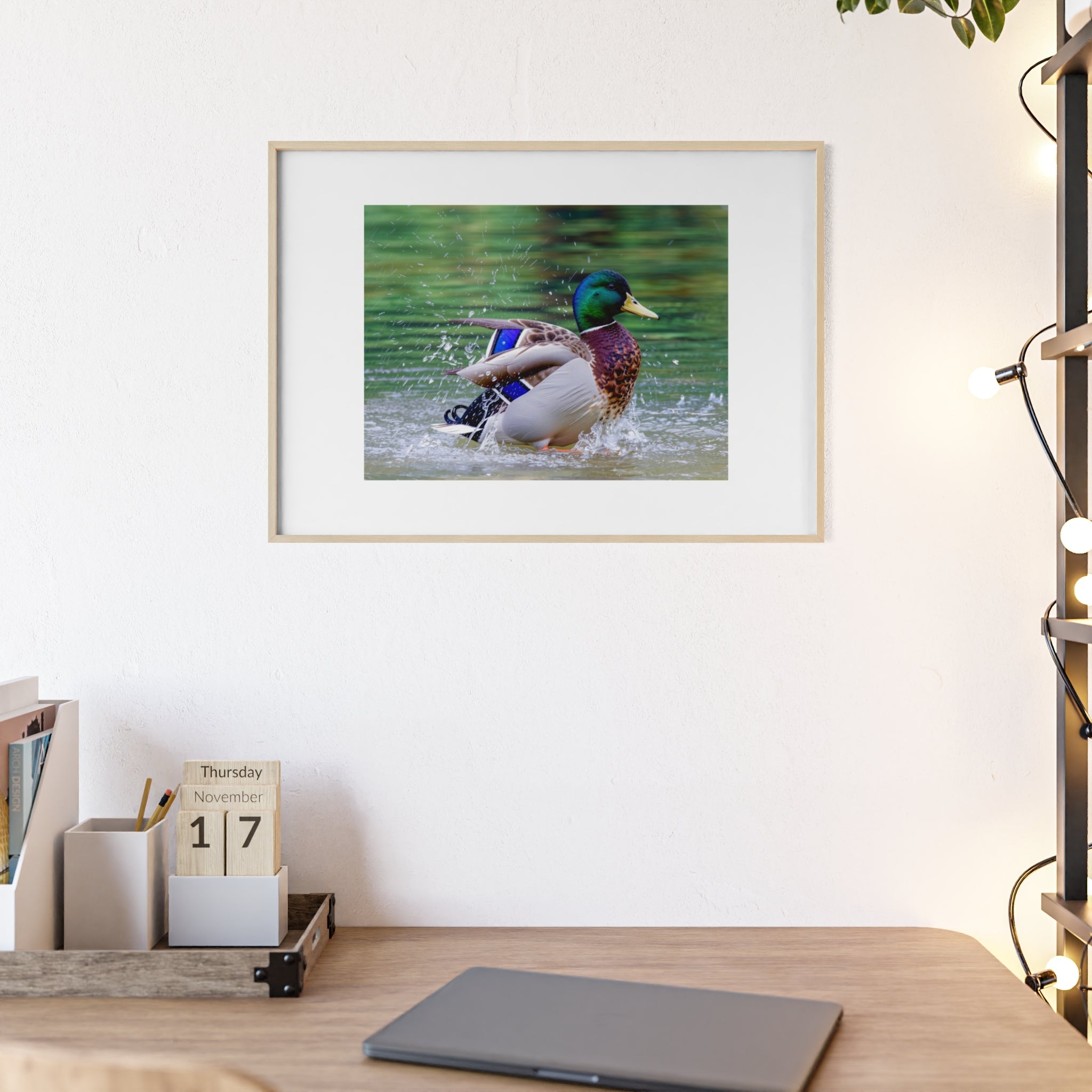 Mallard Duck Posters with Wooden Frame