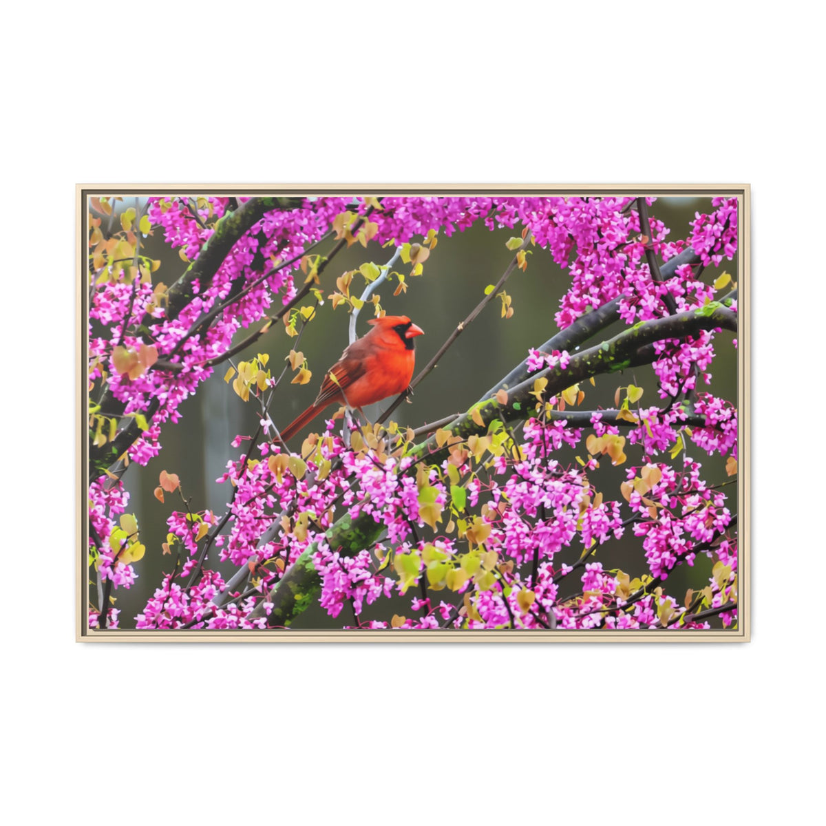 Northern Cardinal Matte Canvas, Framed (Multi-color)