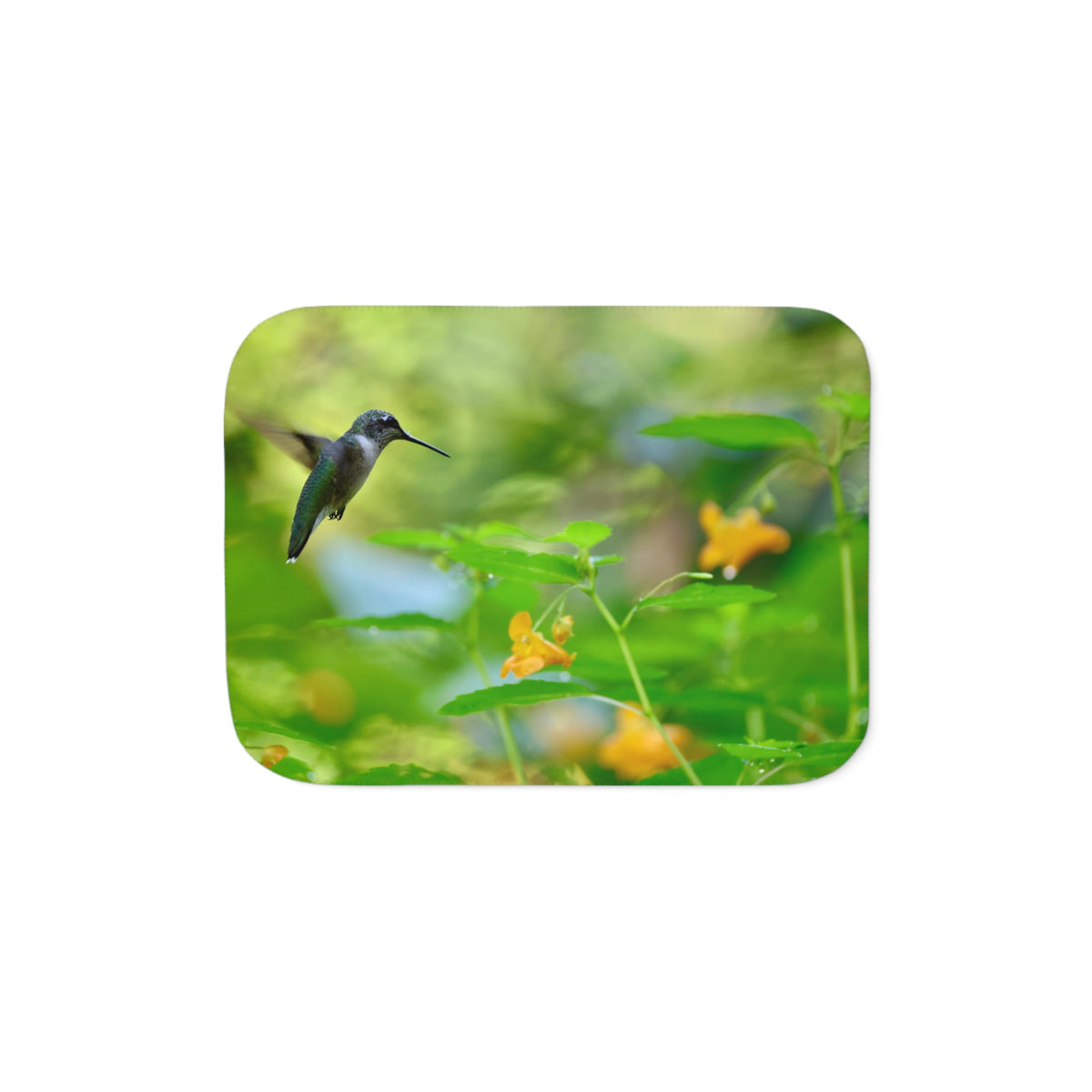 Hummingbird Sherpa Blanket