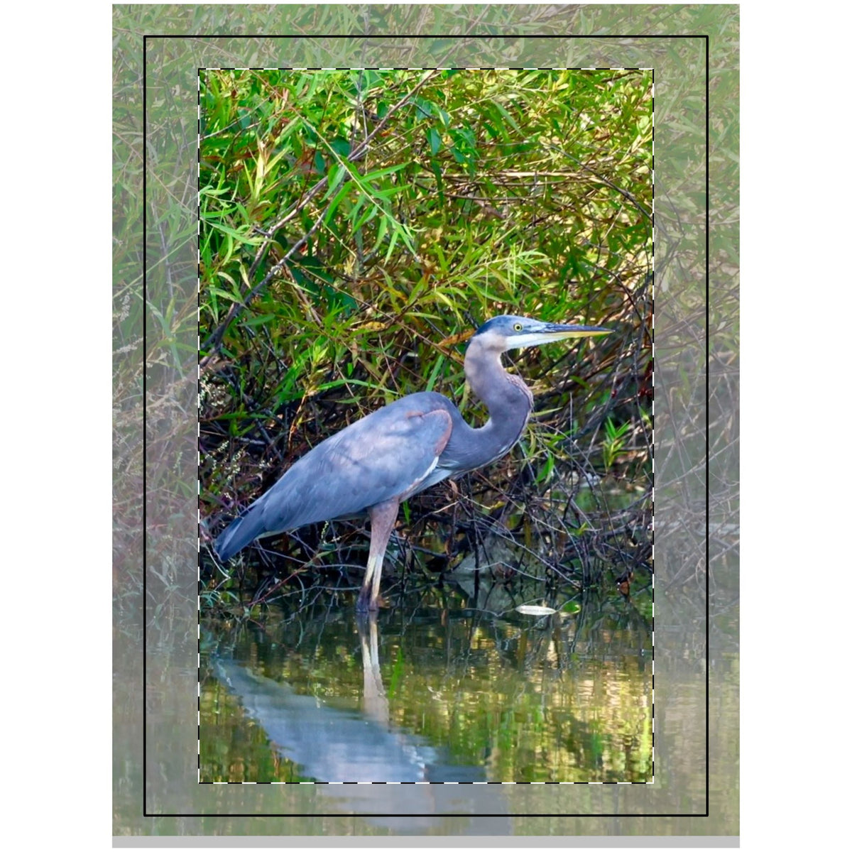 Great Blue Heron Wood Topped Wall Tapestry—Nature Photography Print