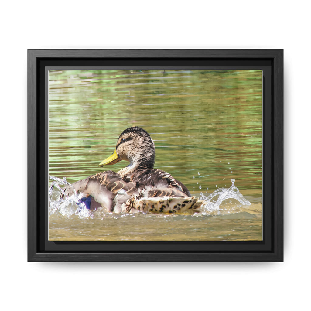 Mallard Duck Matte Canvas, Framed (Multi-color)