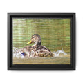 Mallard Duck Matte Canvas, Framed (Multi-color)