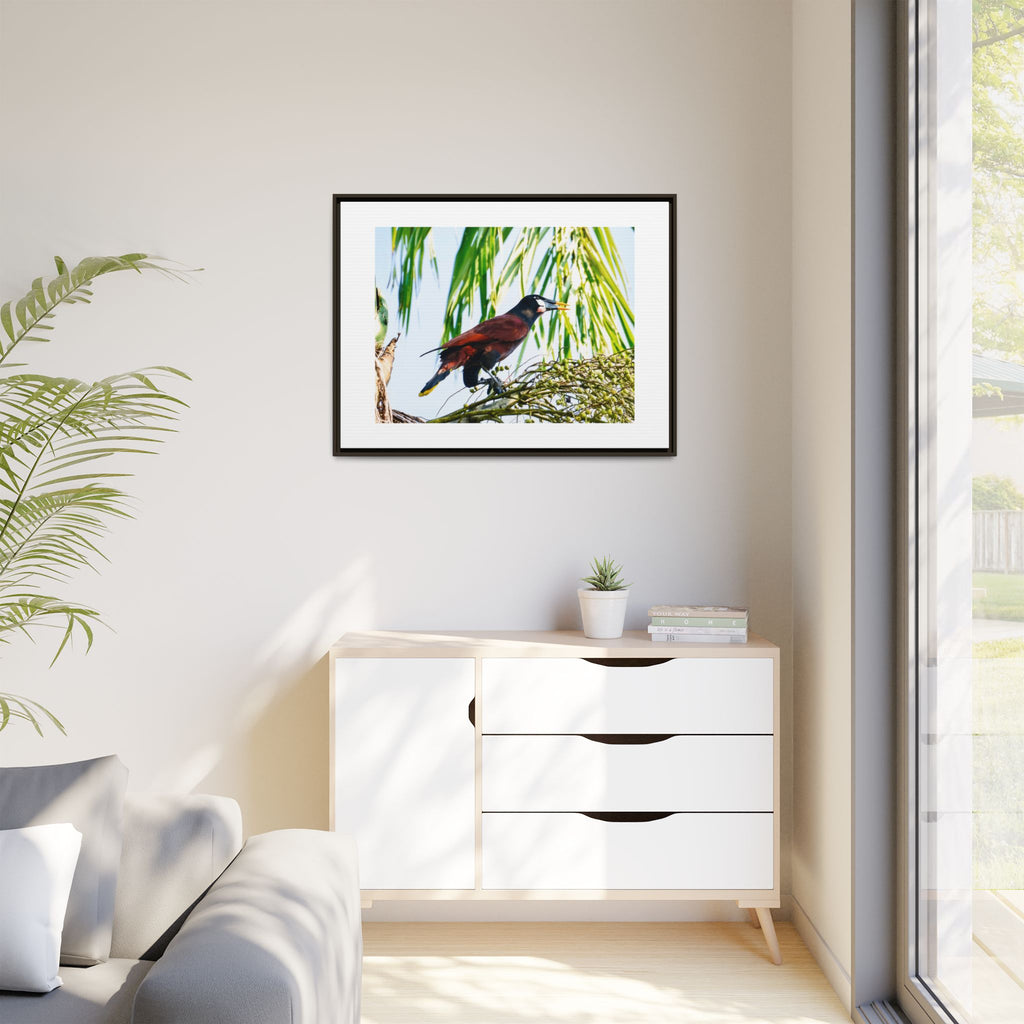 Montezuma Oropendola Matte Canvas, Framed (Multi-color)