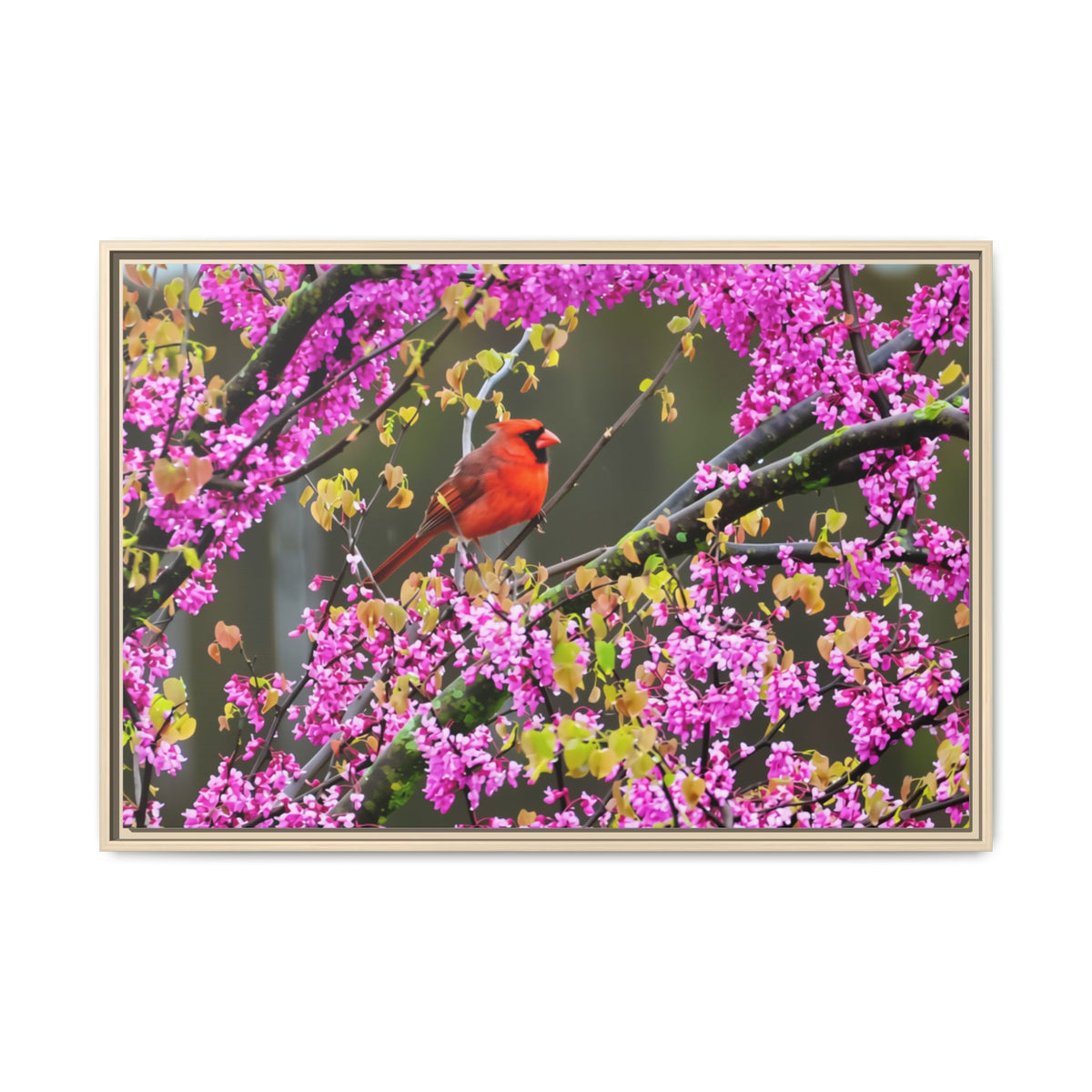 Northern Cardinal Matte Canvas, Framed (Multi-color)