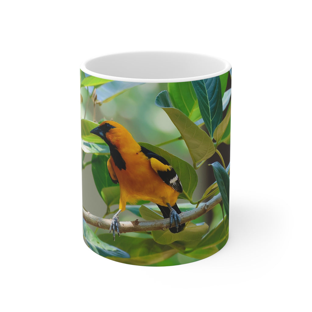 Oriole Bird Mug 11oz