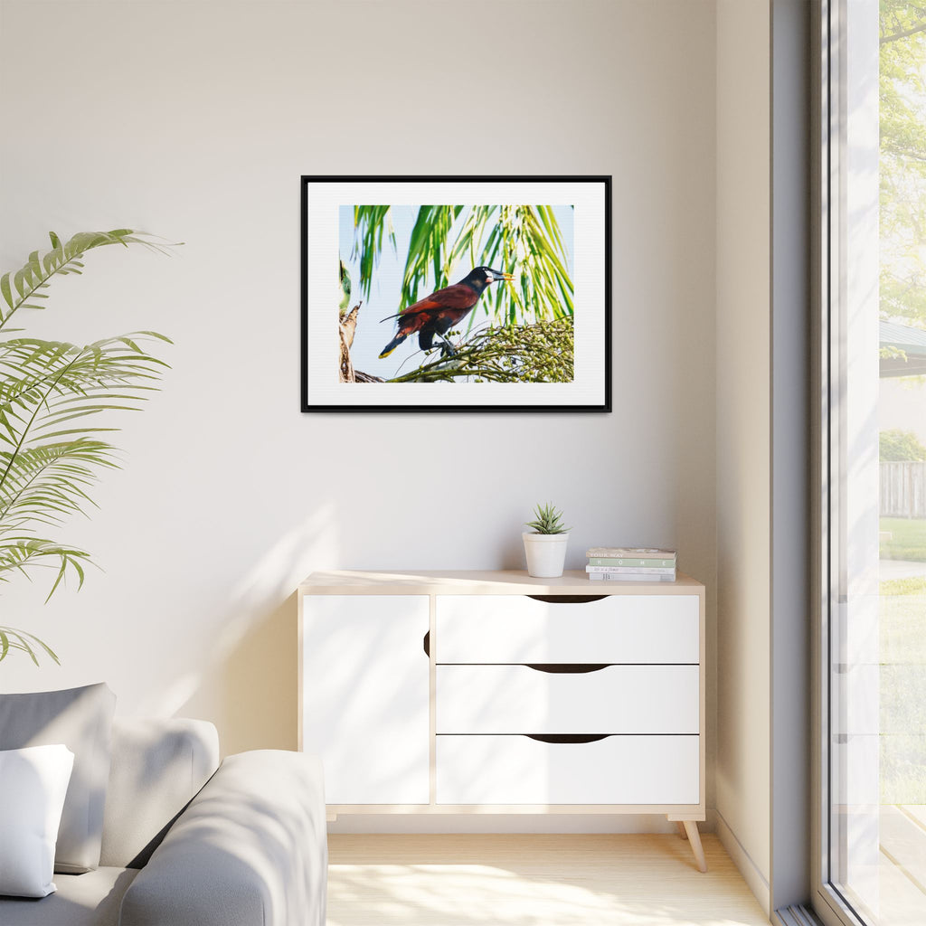 Montezuma Oropendola Matte Canvas, Framed (Multi-color)