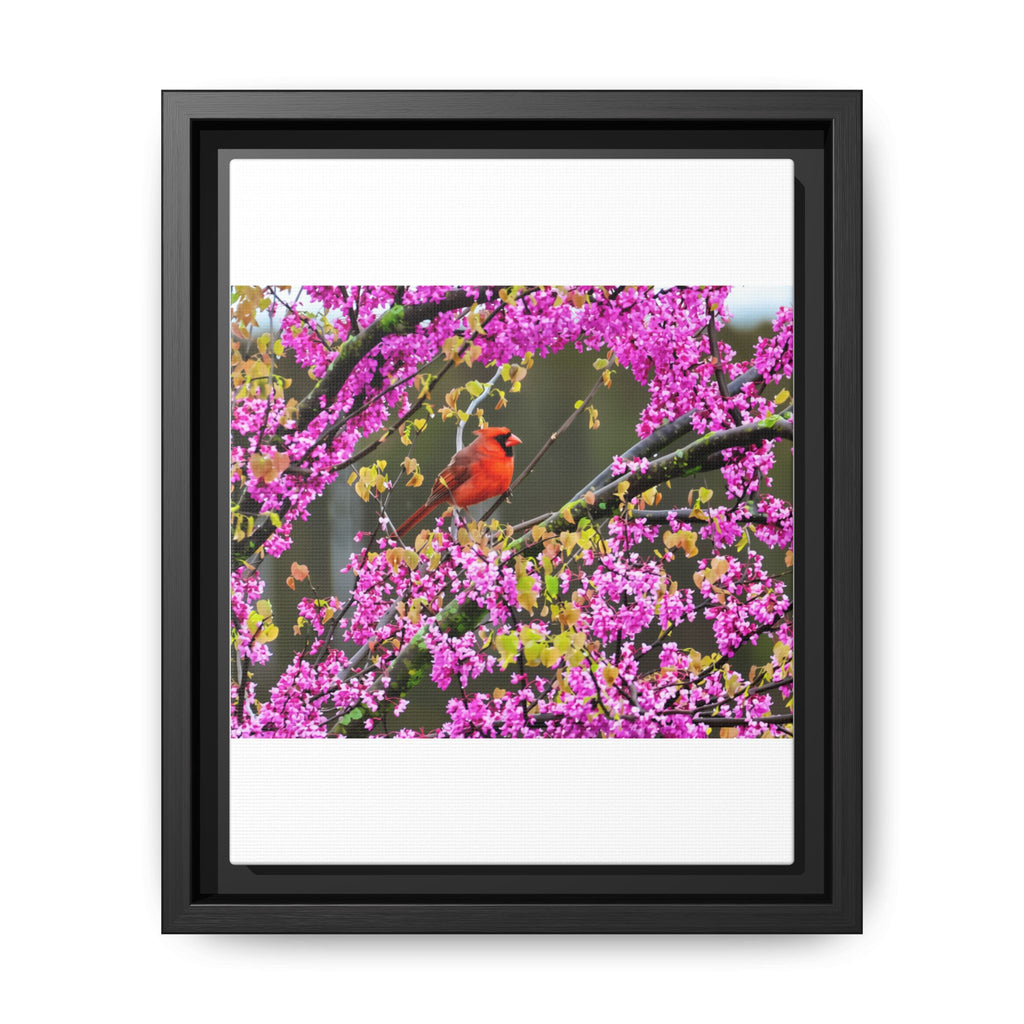Northern Cardinal Matte Canvas, Framed (Multi-color)