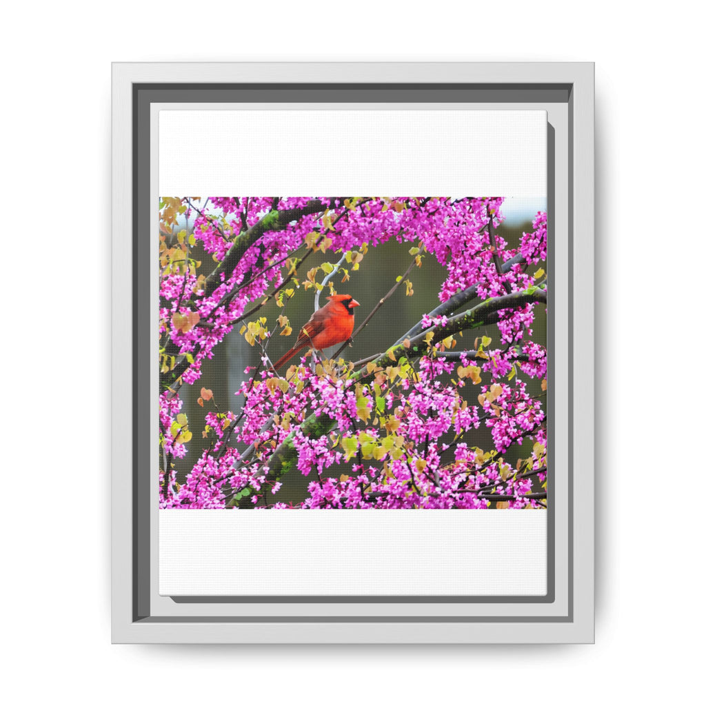 Northern Cardinal Matte Canvas, Framed (Multi-color)