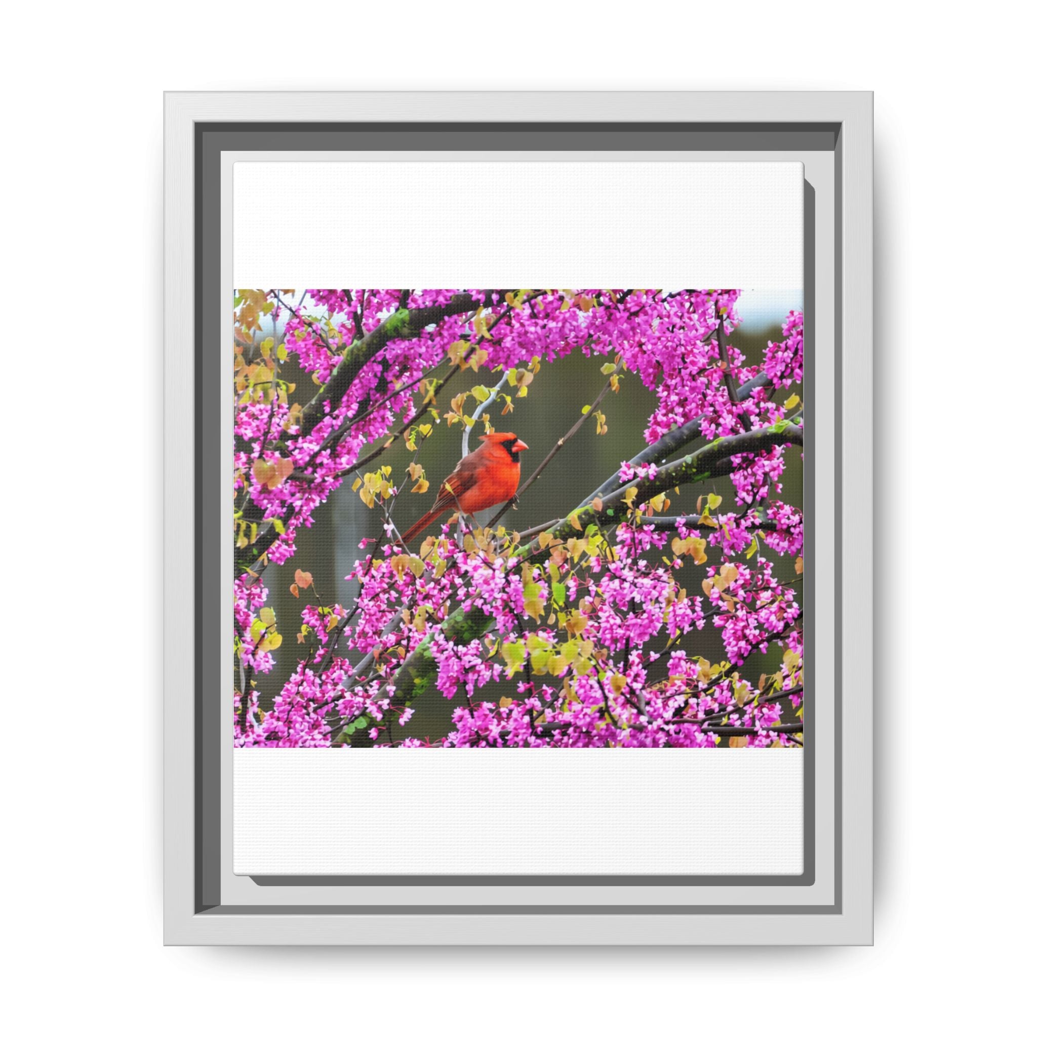 Northern Cardinal Matte Canvas, Framed (Multi-color)