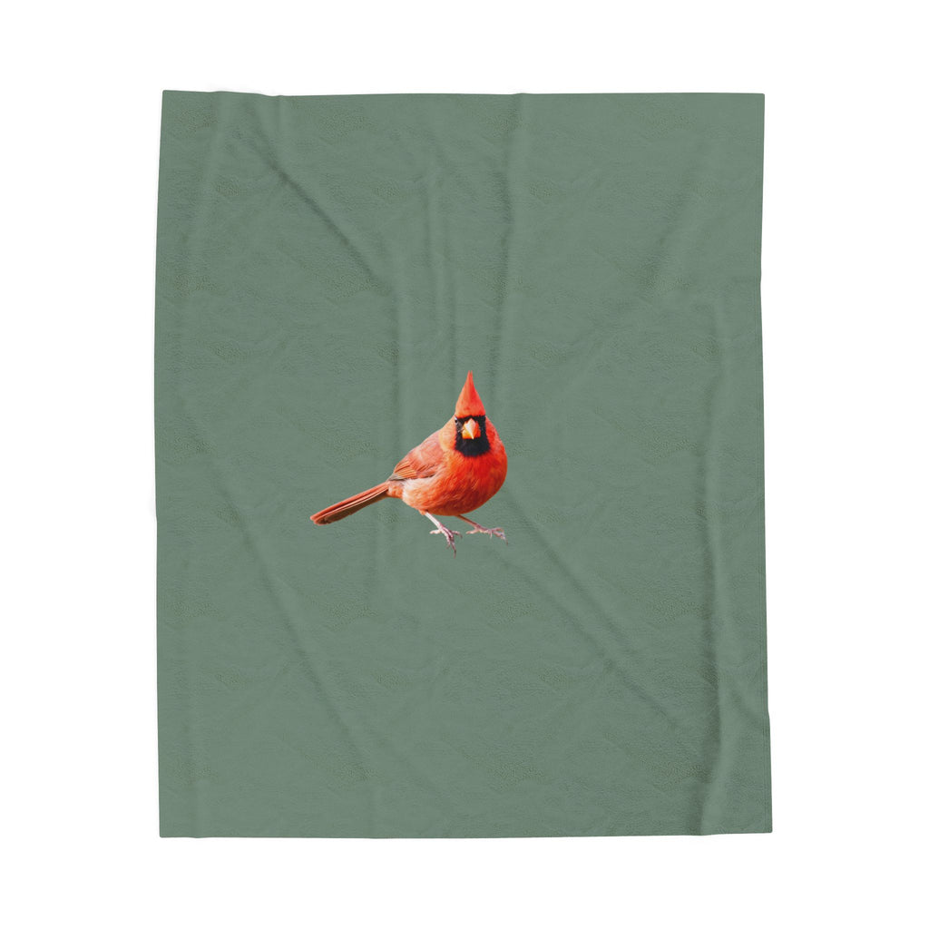 Northern Cardinal Velveteen Plush Blanket – Backyard Bird Wildlife Cozy Throw