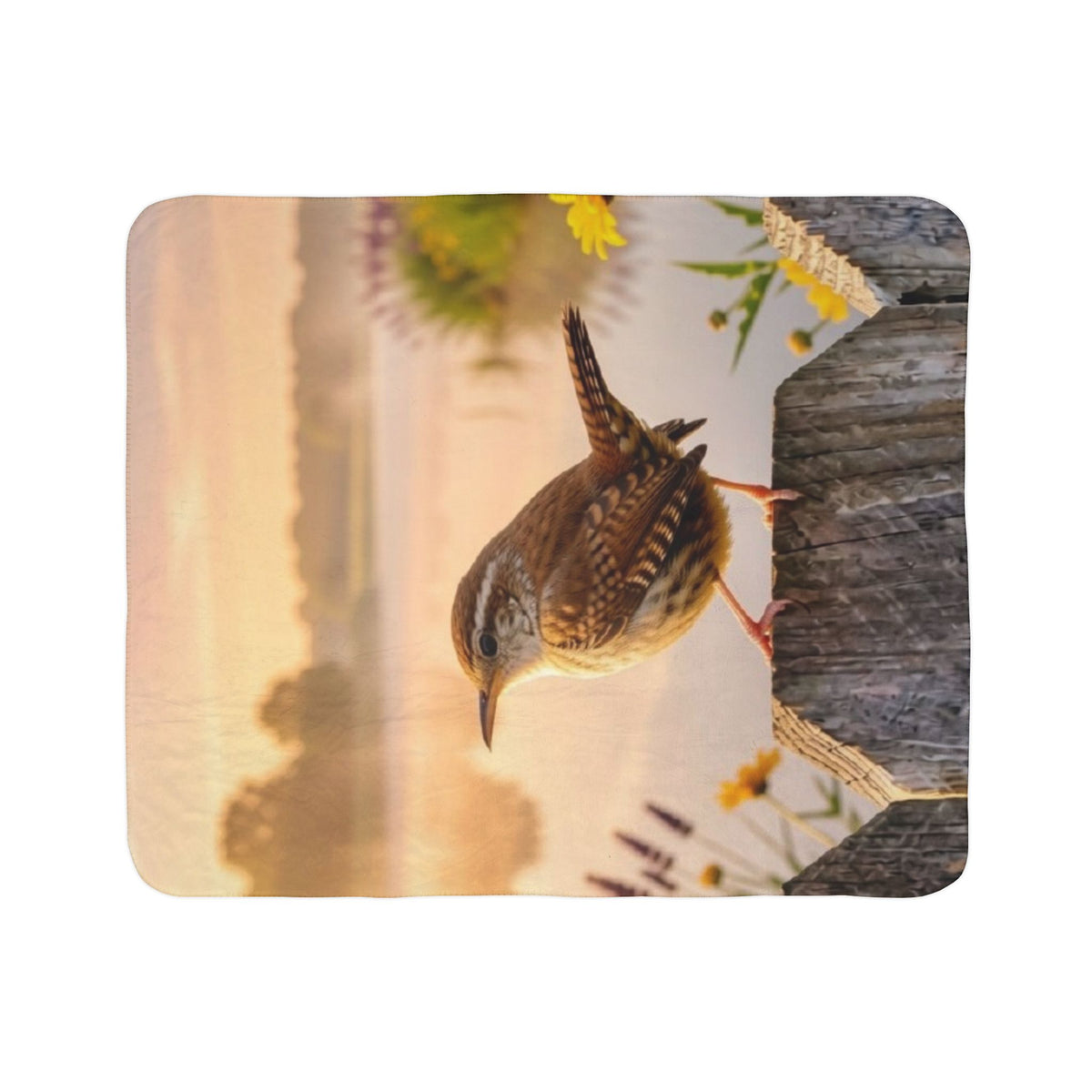 Carolina Wren Fleece Sherpa Blanket