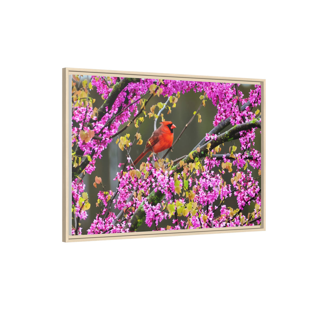 Northern Cardinal Matte Canvas, Framed (Multi-color)