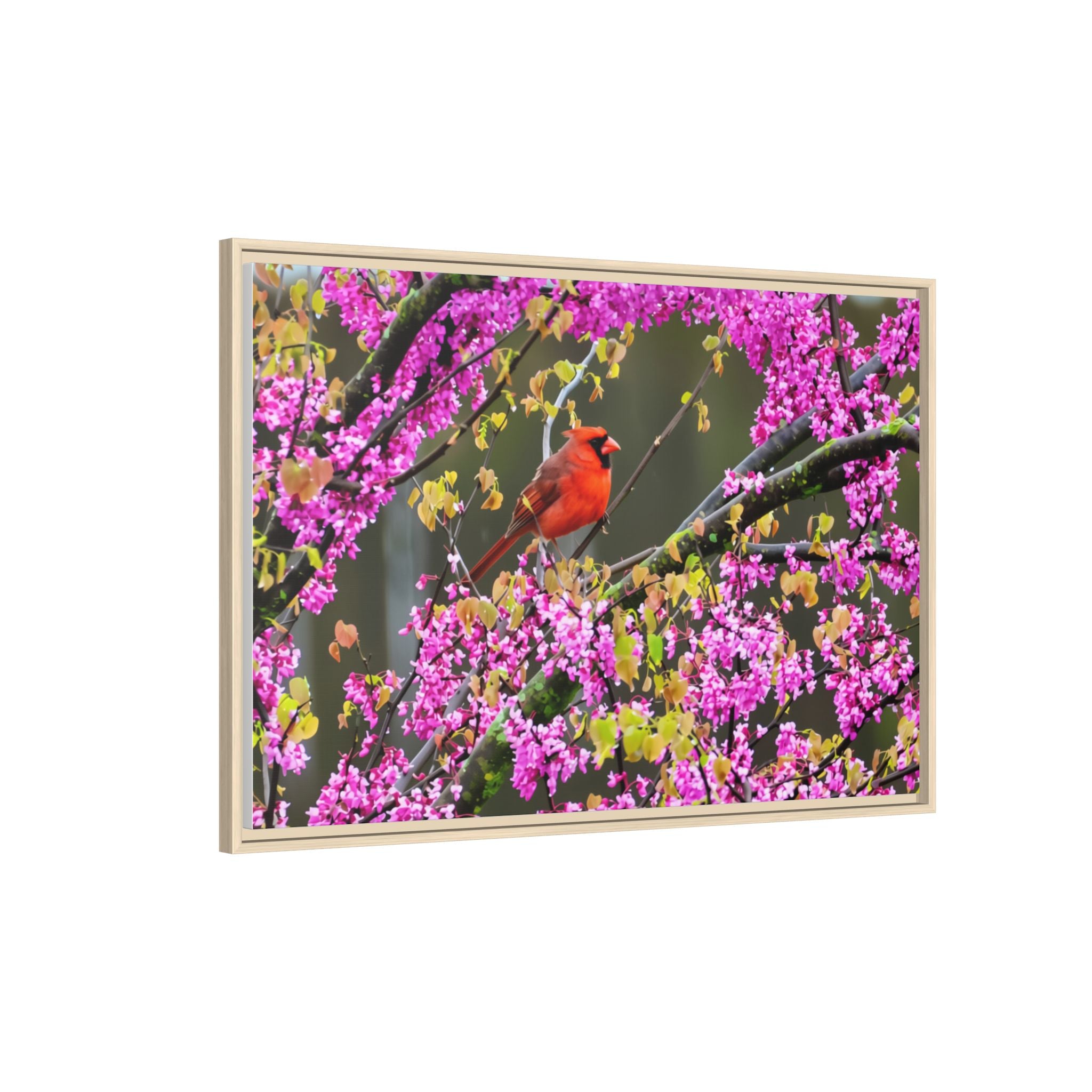 Northern Cardinal Matte Canvas, Framed (Multi-color)