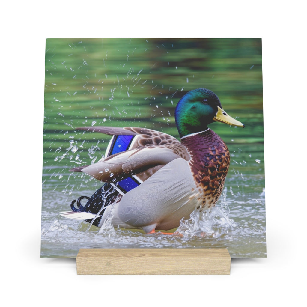 Mallard Duck Splash Wood Desktop Print  Nature Photography PlaqueGallery Board with Stand