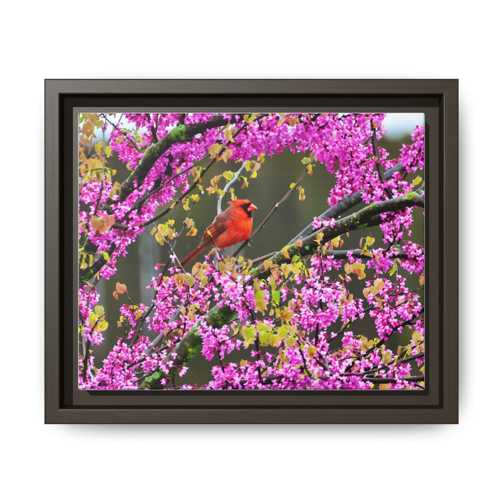 Northern Cardinal Matte Canvas, Framed (Multi-color)