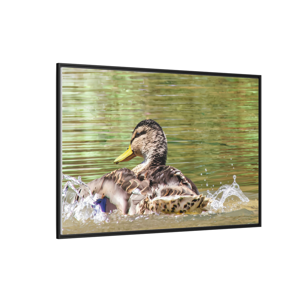 Mallard Duck Matte Canvas, Framed (Multi-color)