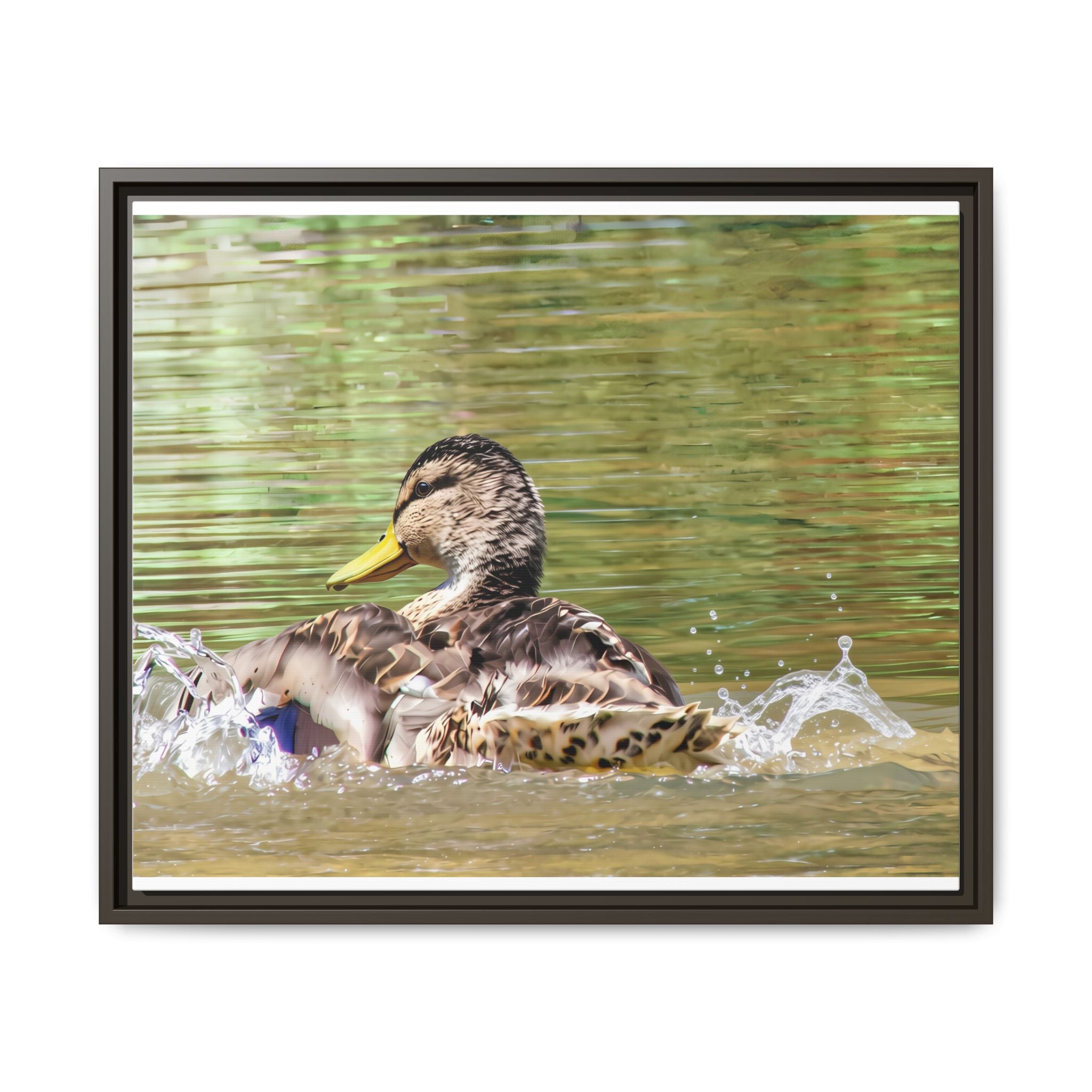 Mallard Duck Matte Canvas, Framed (Multi-color)