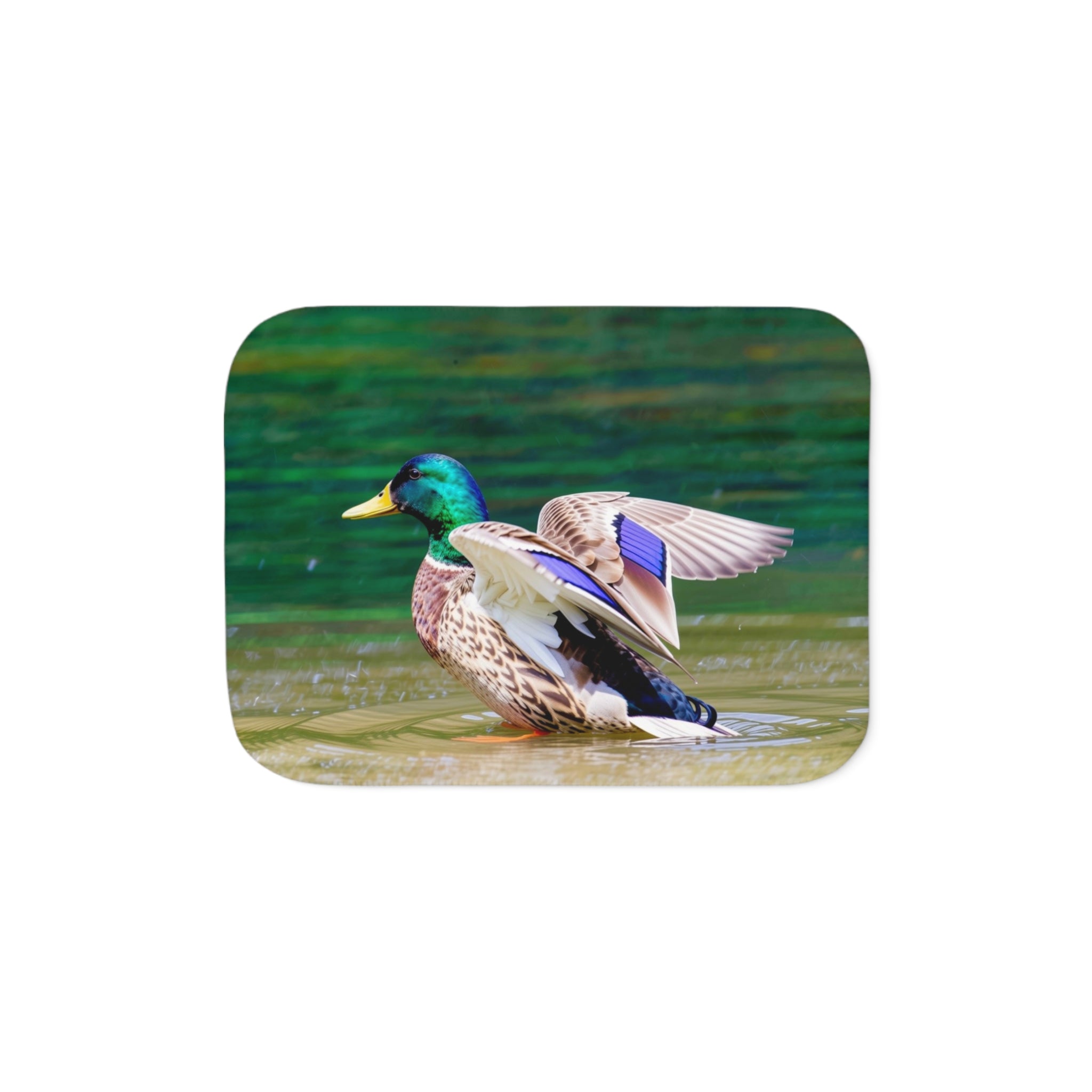 Mallard Duck Playing in the River Sherpa Blanket – Wildlife Nature Throw