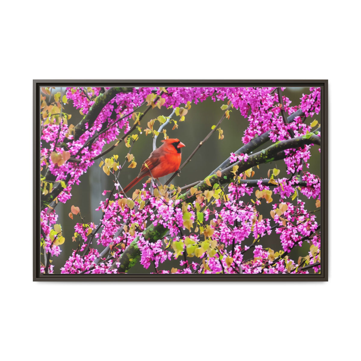 Northern Cardinal Matte Canvas, Framed (Multi-color)