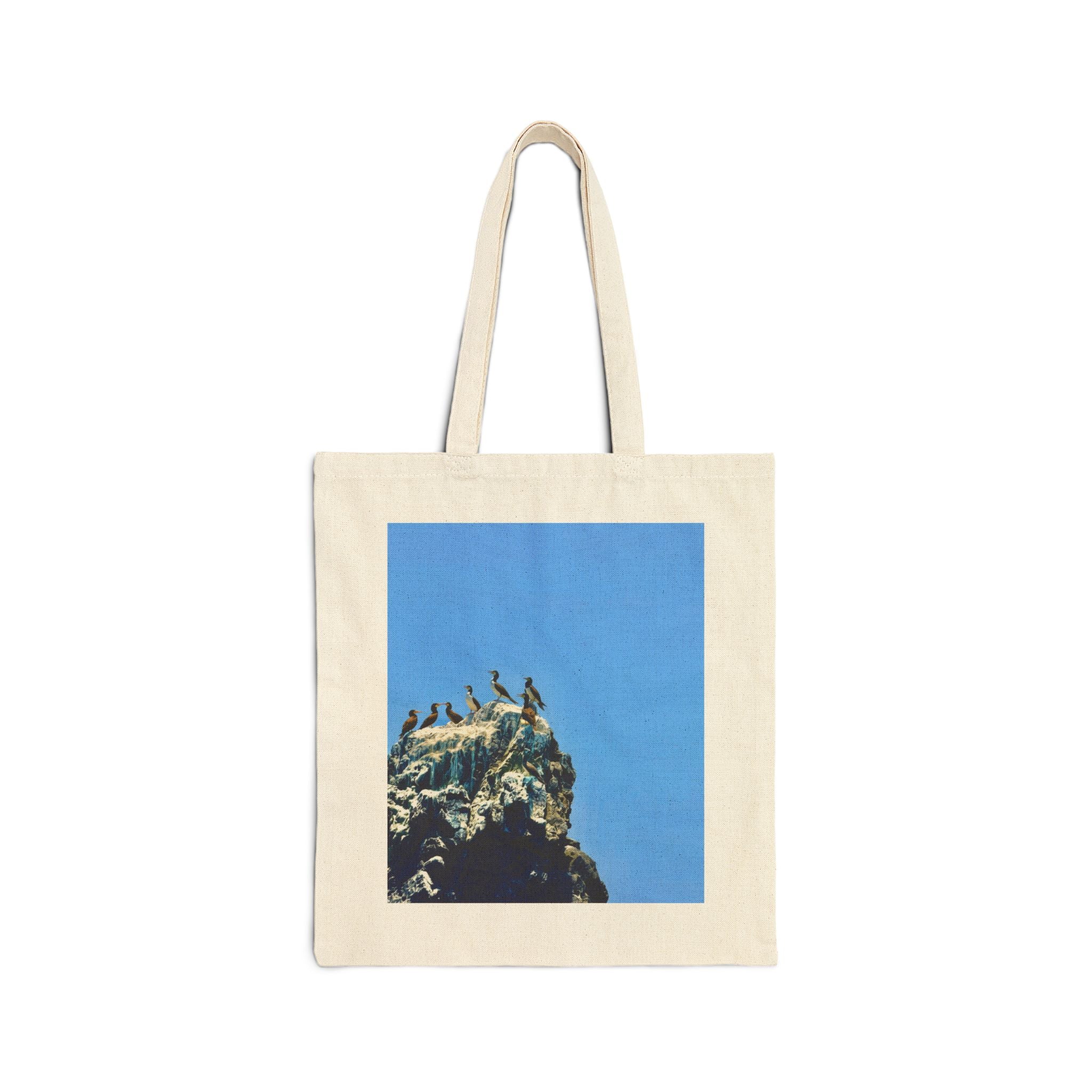 Tela Honduras Pelican on Rock Cotton Canvas Tote Bag – Coastal Wildlife Carry Bag