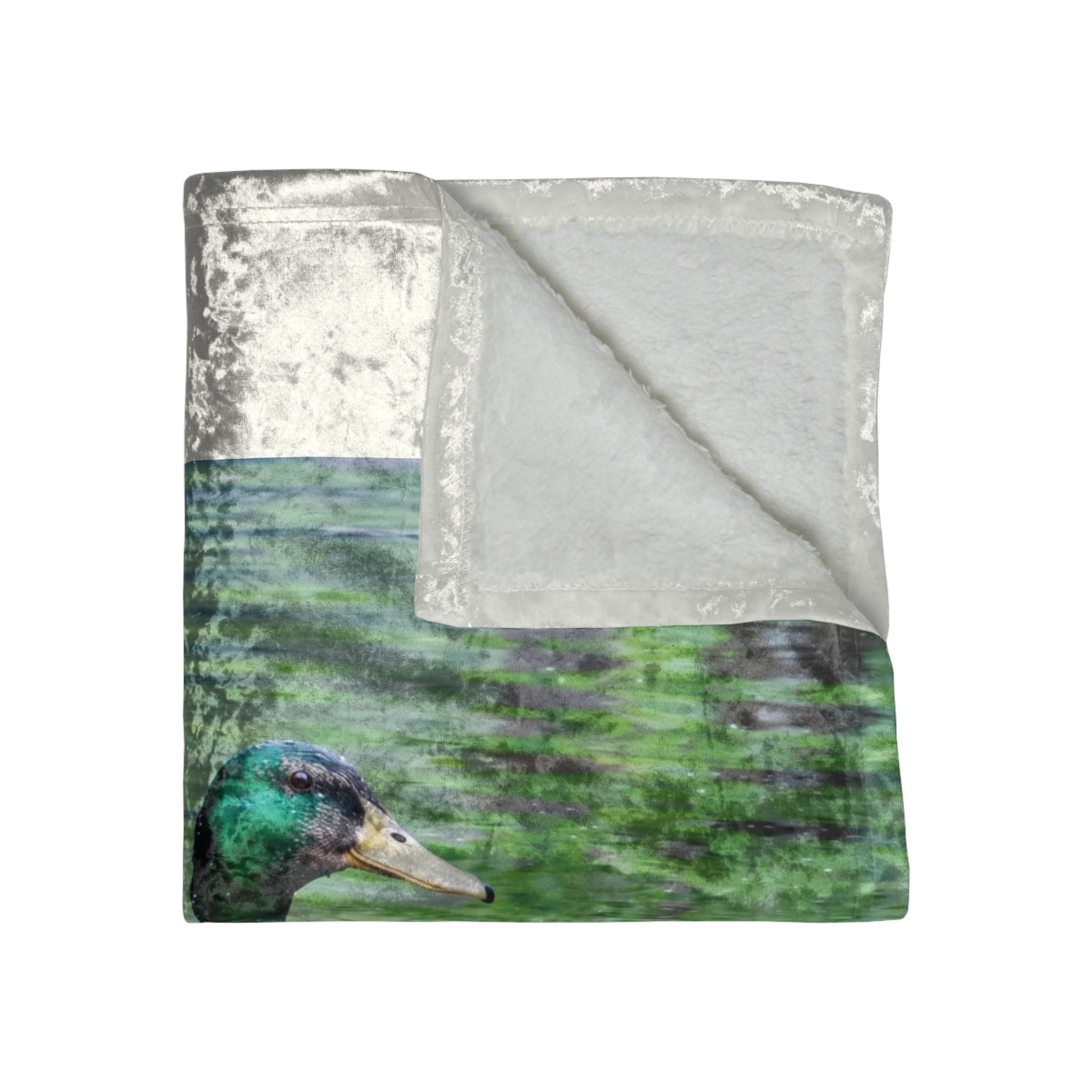 Mallard Duck Swimming in the River Crushed Velvet Blanket – Wildlife Nature Luxury Throw