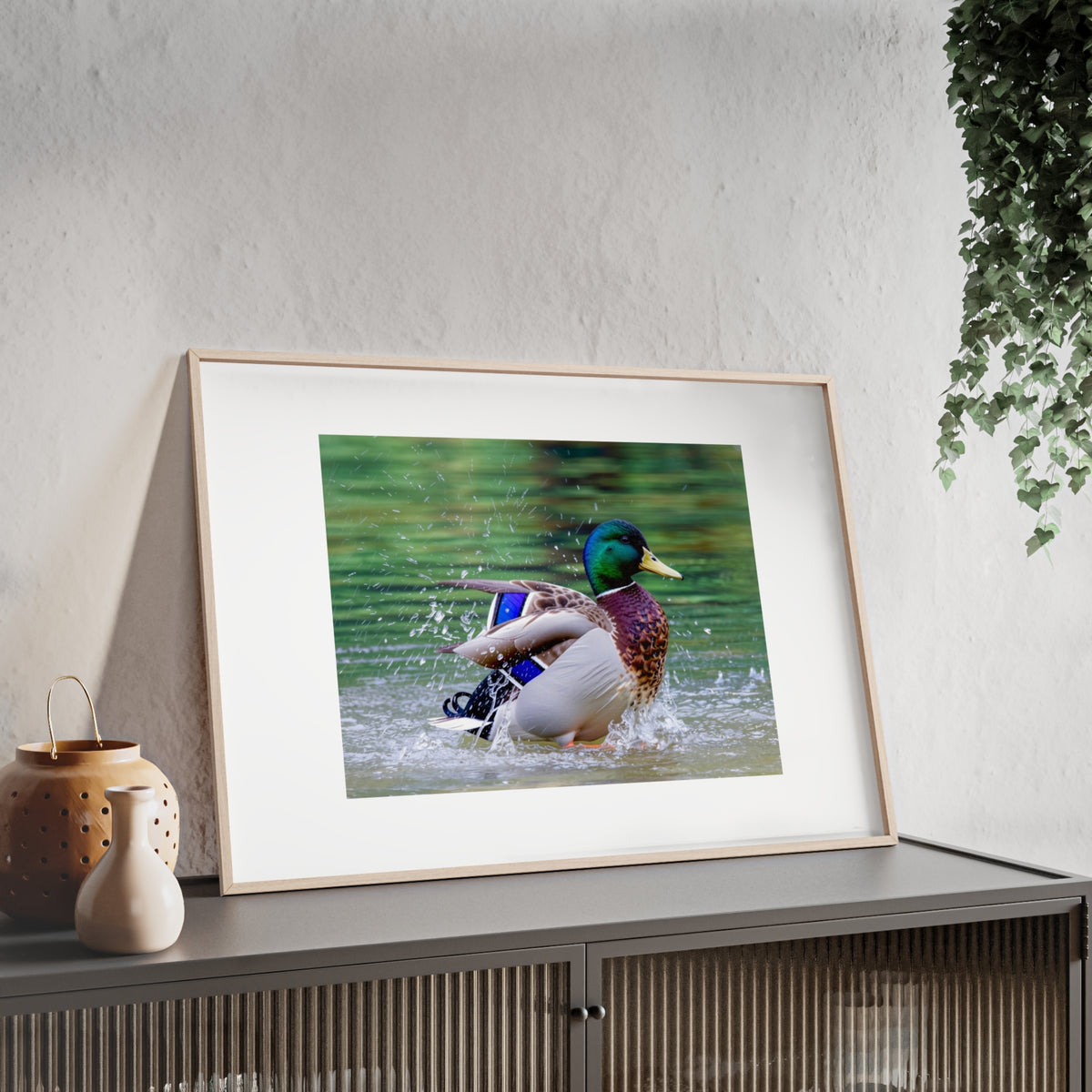 Mallard Duck Posters with Wooden Frame